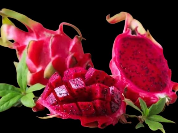 fresh sata dragon greenx fruit in tamilnadu