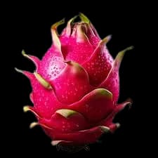 taiwan pink red - sata dragon fruit