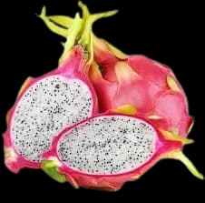 white flesh dragon fruit - sata dragon greenx